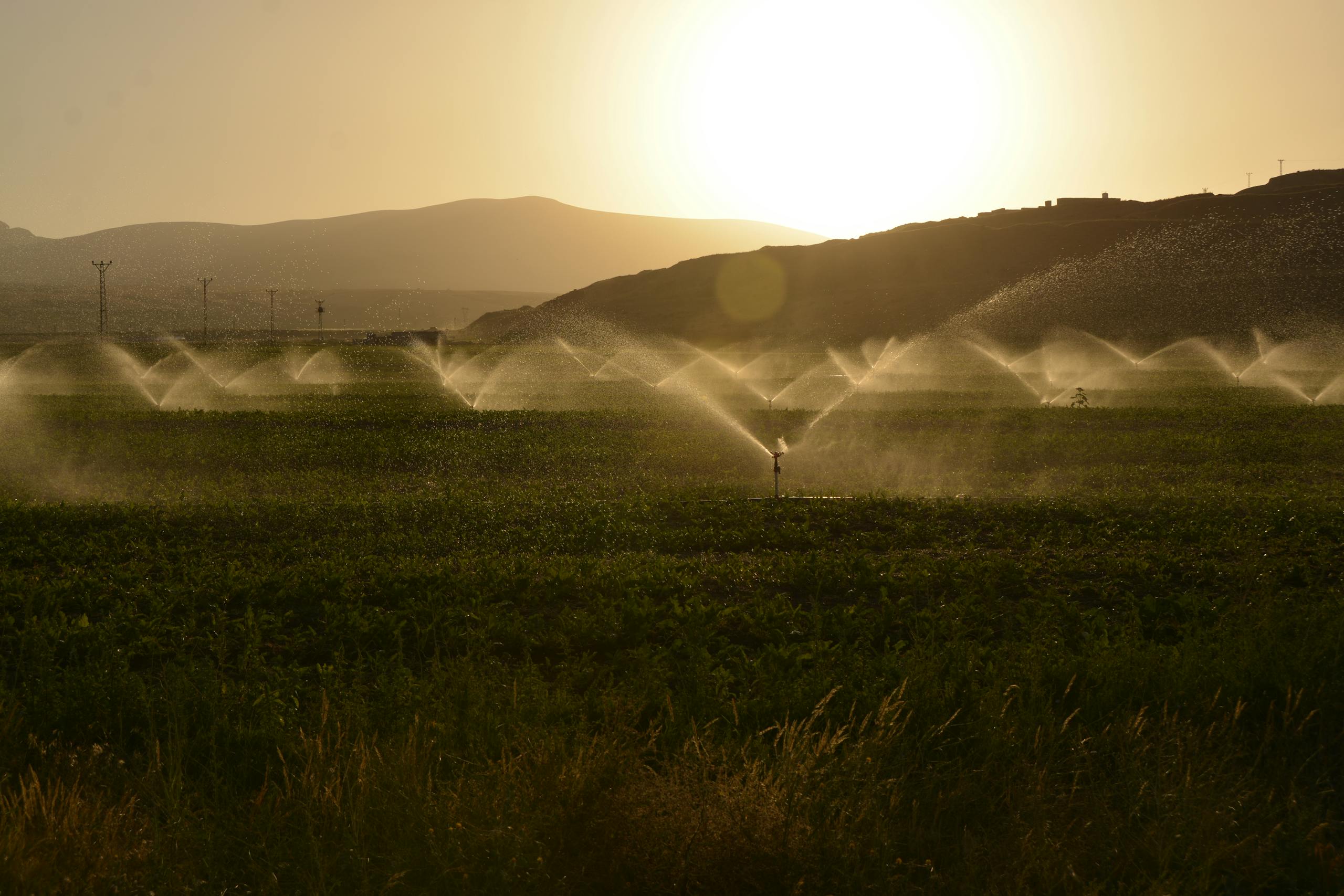 Sprinkler irrigation on a farm at sunset representing water distribution operations
